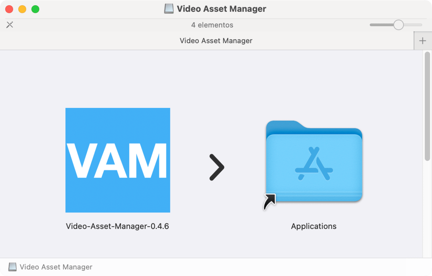 Video Asset Manager installation panel.
