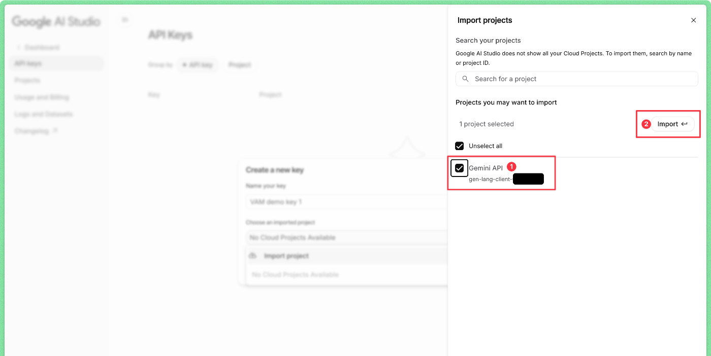 Google AI Studio-import-step-2