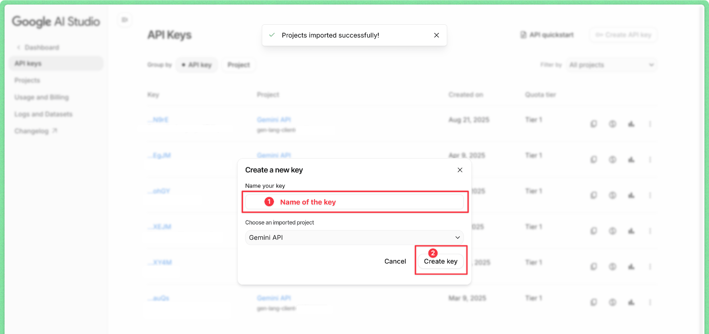Google AI Studio import step 3.